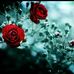 Rita Tim - Facebook