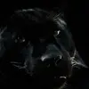 Tim Wrede - @timwrede - TikTok
