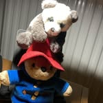 Tim Wren - @big_biking_bear - Instagram