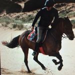 Tim Yardley - @tmyardley - Instagram