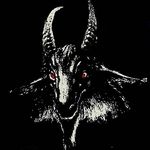@timyardley79 - Instagram