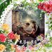 Tim Yen - Facebook