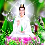 Trúc Lý - @tim_yen_hae_2024 - Instagram
