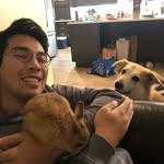 Tim Young - @theonlytimyoung - Instagram