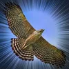 Tim Yu - @2184532445 - TikTok