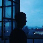 Panda - @timyunusmetov - Instagram
