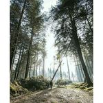 tim - @timber_wilson - Instagram