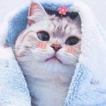 jonàs timea szabrina - @jonastimeas - Instagram