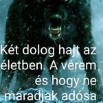 Timea Jonas - @timea5096 - Instagram