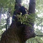 Timmy Arnold - @gnome_it_up - Instagram