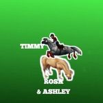 ʀᴏsᴀ, ᴛɪᴍᴍʏ & ᴀsʜʟᴇʏ - @me.and.my.welshies - Instagram