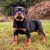 Timmy Bell - Facebook