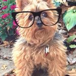 Timmy Bell - @timmy.bell.9440 - Instagram