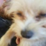 Timmy Carter - @bigtimmy0110 - Instagram
