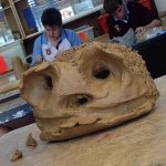 Timmy Clay - @_timmyclay - Instagram