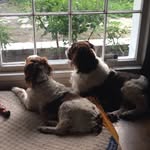 timmycunningham - @timmycunningham - Instagram