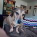 Timmy Mack - Facebook