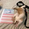 Timmy - @timmy.peterson23 - TikTok