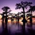 Timmy Prejean - Facebook