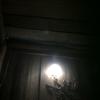 Timmy Wheeler - @timmy.wheeler4 - TikTok