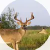 Timmy White - @timmy.white0 - TikTok
