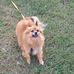 Timmy Tico Willis - Facebook