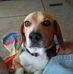 Timothy Aaron - Facebook