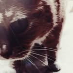 Timothy Abram - @msterdebator - Instagram