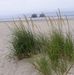 Timothy Ackley - Facebook