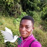 Timothy Addison - @timothyaddison49 - Instagram