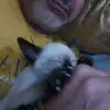 Timothy - @timothy.yahoo - TikTok