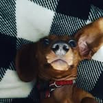 Timothy Aho - @timothyaho18 - Instagram