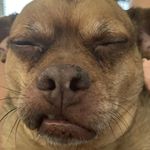 Timothy Albright - @timothyalbright9 - Instagram