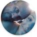 Timothy Andrus - Facebook