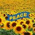 Timothy Angley - Facebook