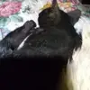 Timothy Arnett - @timothy.arnett - TikTok