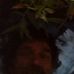 Timothy Arnett - Facebook