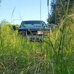 Timothy Arrington - @gmturd400 - Instagram
