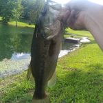 Timothy Arrington - @timothyarrington68 - Instagram