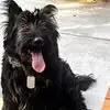 Timothy Atwood - @timothy.atwood3 - TikTok