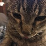 Timothy Cheatwood - @timothycheatwood - Instagram