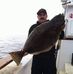 Timothy Ayres - Facebook