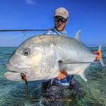 Timothy Babich - @timothy.babich - Instagram