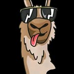 Timothy Back - @llamacolt02 - Instagram