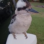 Timothy Bainbridge - @bainbridgetimothy - Instagram