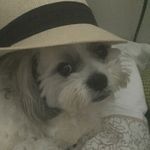 Timothy Baines - @timothybaines - Instagram