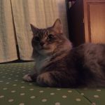 Tim Banfield - @banfield.timothy - Instagram