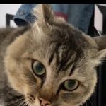 Timothy Anfield Sundamen - @timothyanfield - Instagram