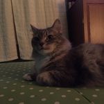 Timothy Banfield - @timothybanfield - Instagram