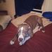 Timothy Barnhart - Facebook